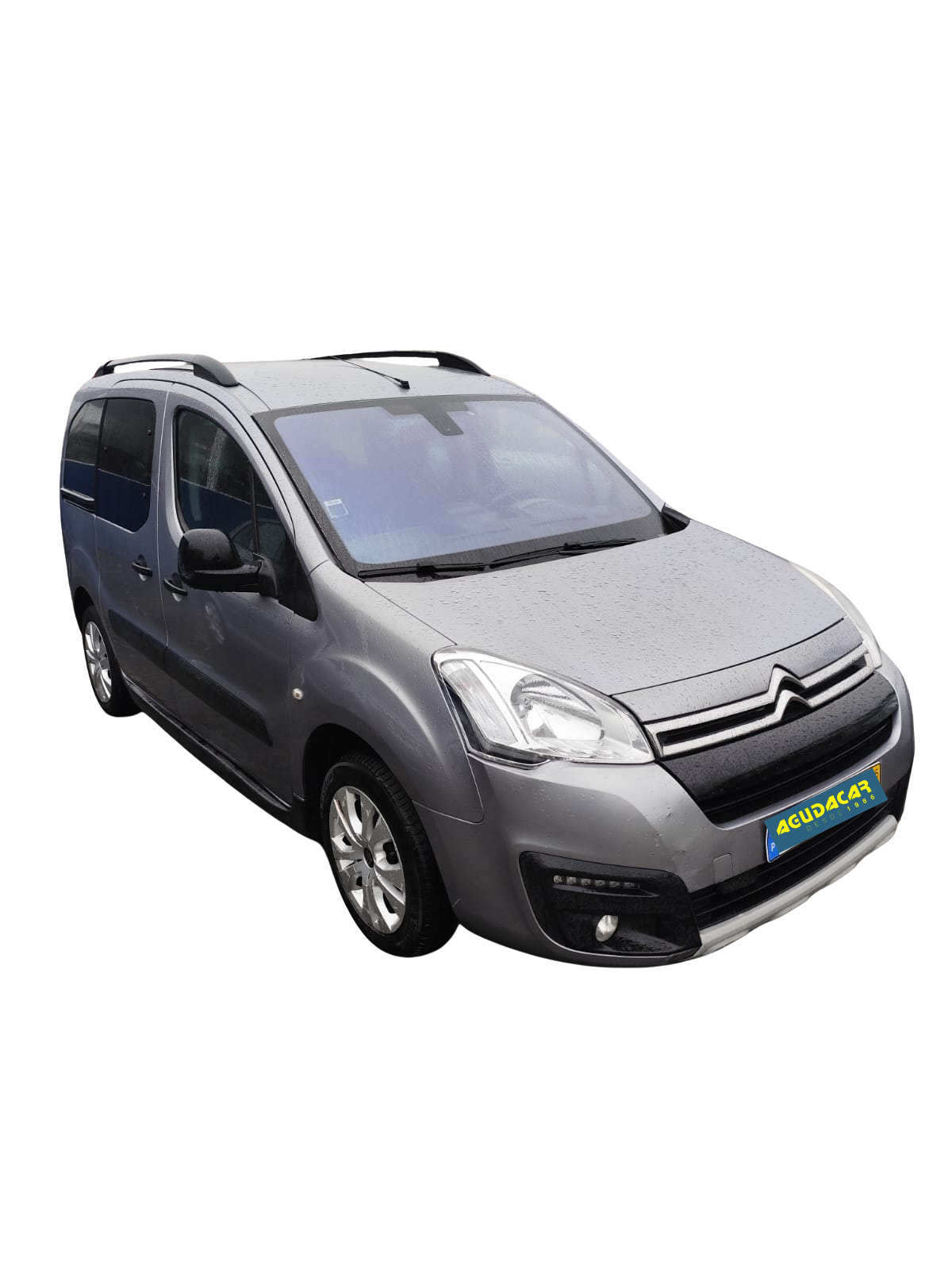 Citroen Berlingo Multispace